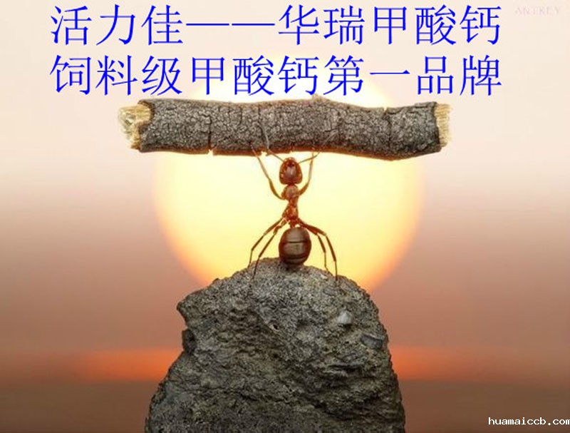 华瑞牧业 华瑞牧业