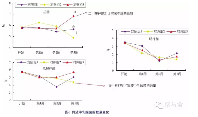 1555320508289504.png 6.png