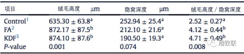 1556525237826557.jpg 7.jpg