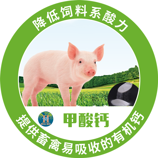 1568602324881862.png 11_副本.png