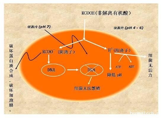 1593743475966154.jpg u=2027643348,2960621283&fm=214&gp=0.jpg