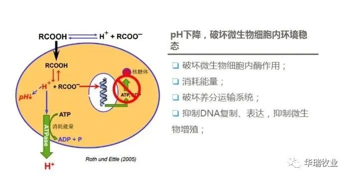 1662012103277827.jpg 微信图片_20220901140114.jpg