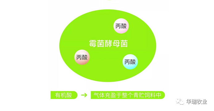 1662012173496481.png 微信图片_20220901140209.png