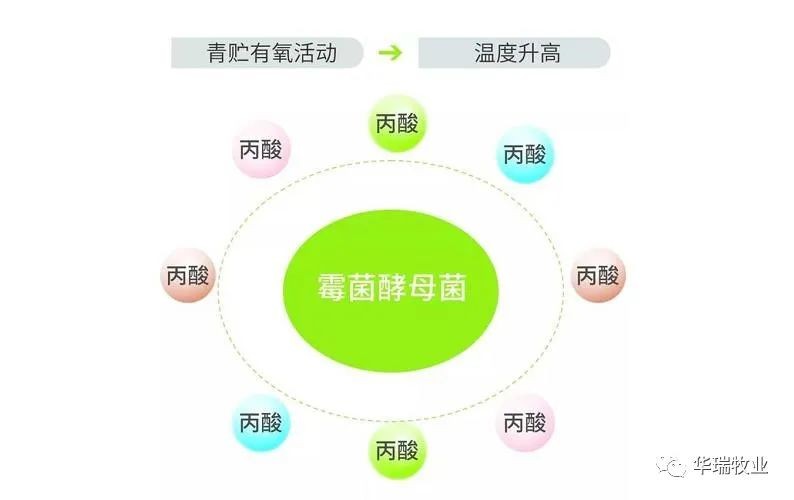 1662012486181135.jpg 微信图片_20220901140723.jpg